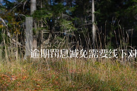 逾期罚息减免需要线下对公还款吗 逾期罚息减免需要线下对公还款吗
