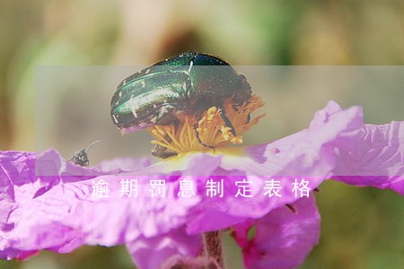 逾期罚息制定表格 逾期罚息制定表格