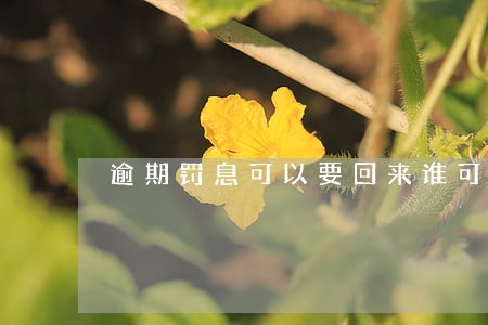 逾期罚息可以要回来谁可以办理 逾期罚息可以要回来谁可以办理