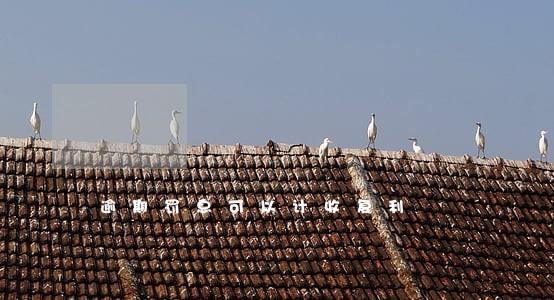 逾期罚息可以计收复利 逾期罚息可以计收复利