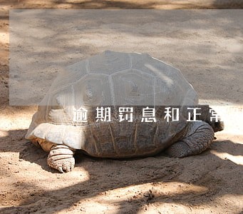 逾期罚息和正常利息同时收取 逾期罚息和正常利息同时收取