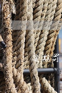 逾期罚息和超期罚息有区别吗 逾期罚息和超期罚息有区别吗