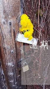 逾期罚息和违约罚息 逾期罚息和违约罚息