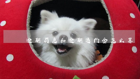 逾期罚息和逾期违约金怎么算 逾期罚息和逾期违约金怎么算
