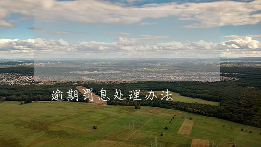 逾期罚息处理办法 逾期罚息处理办法