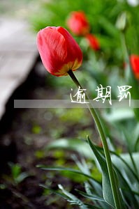 逾期罚息处理流程 逾期罚息处理流程