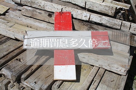 逾期罚息多久停 逾期罚息多久停
