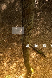 逾期罚息大于利息 逾期罚息大于利息