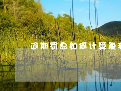 逾期罚息如何计算复利 逾期罚息如何计算复利