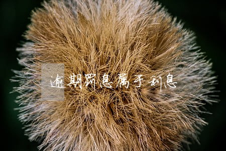 逾期罚息属于利息 逾期罚息属于利息