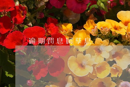 逾期罚息属孳息 逾期罚息属孳息