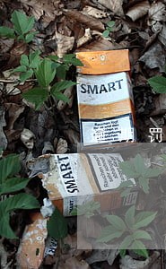 逾期罚息当天还算利息吗 逾期罚息当天还算利息吗