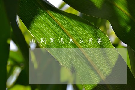 逾期罚息怎么开票 逾期罚息怎么开票