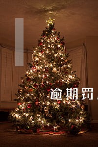 逾期罚息指什么 逾期罚息指什么