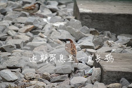 逾期罚息是一直长嘛 逾期罚息是一直长嘛