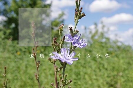 逾期罚息是什么分录 逾期罚息是什么分录