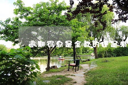 逾期罚息是全款的还是未结清的