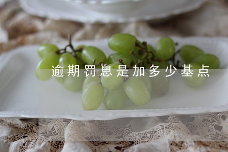 逾期罚息是加多少基点 逾期罚息是加多少基点