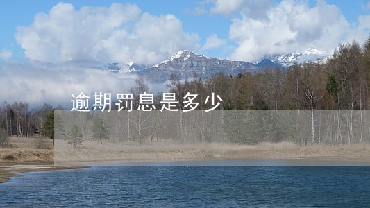 逾期罚息是多少 逾期罚息是多少