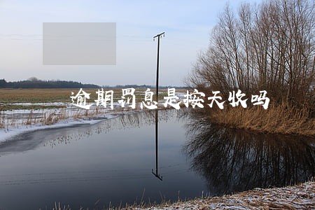 逾期罚息是按天收吗 逾期罚息是按天收吗