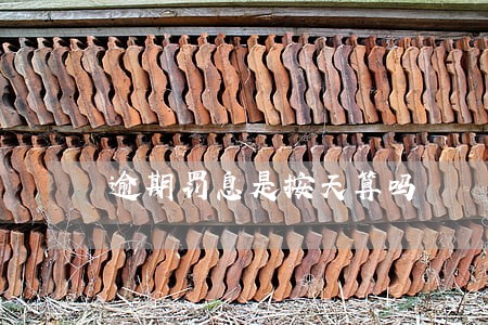 逾期罚息是按天算吗