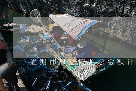 逾期罚息是按照总金额计算的吗 逾期罚息是按照总金额计算的吗