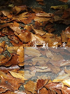 逾期罚息是永久吗 逾期罚息是永久吗
