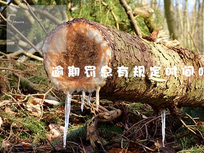 逾期罚息有规定时间吗 逾期罚息有规定时间吗
