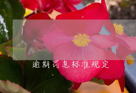 逾期罚息标准规定 逾期罚息标准规定