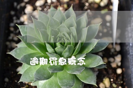 逾期罚息概念 逾期罚息概念