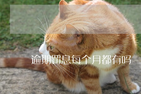 逾期罚息每个月都有吗 逾期罚息每个月都有吗