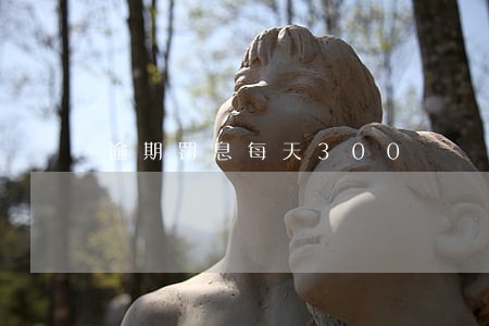 逾期罚息每天300 逾期罚息每天300