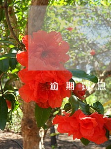 逾期罚息每天增加 逾期罚息每天增加