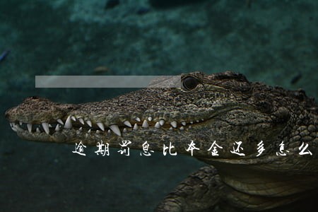 逾期罚息比本金还多怎么回事 逾期罚息比本金还多怎么回事