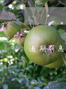 逾期罚息民事诉讼法