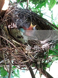 逾期罚息法律