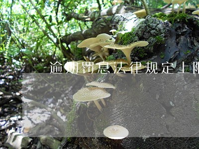 逾期罚息法律规定上限 逾期罚息法律规定上限