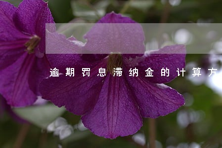 逾期罚息滞纳金的计算方法