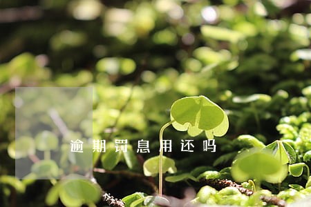逾期罚息用还吗 逾期罚息用还吗