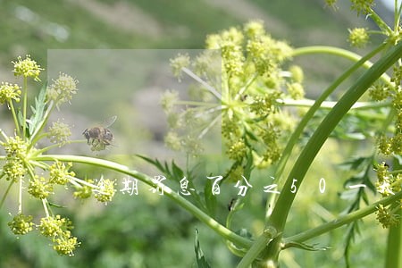 逾期罚息百分之50一天怎么算 逾期罚息百分之50一天怎么算