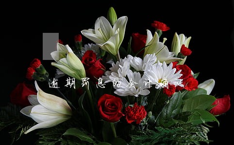 逾期罚息的会计确认 逾期罚息的会计确认