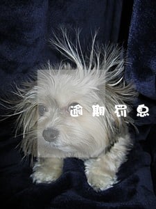 逾期罚息的判决法律依据 逾期罚息的判决法律依据