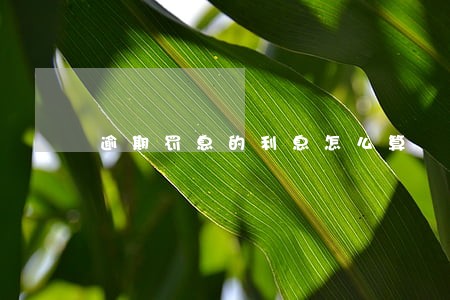 逾期罚息的利息怎么算 逾期罚息的利息怎么算