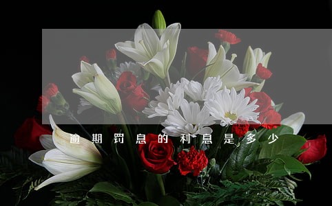 逾期罚息的利息是多少