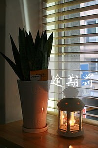 逾期罚息的利率标准 逾期罚息的利率标准