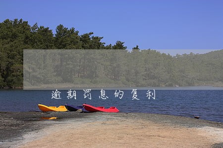 逾期罚息的复利 逾期罚息的复利