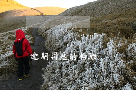 逾期罚息的扣除