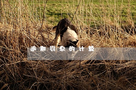 逾期罚息的计算 逾期罚息的计算