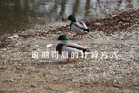 逾期罚息的计算方式 逾期罚息的计算方式