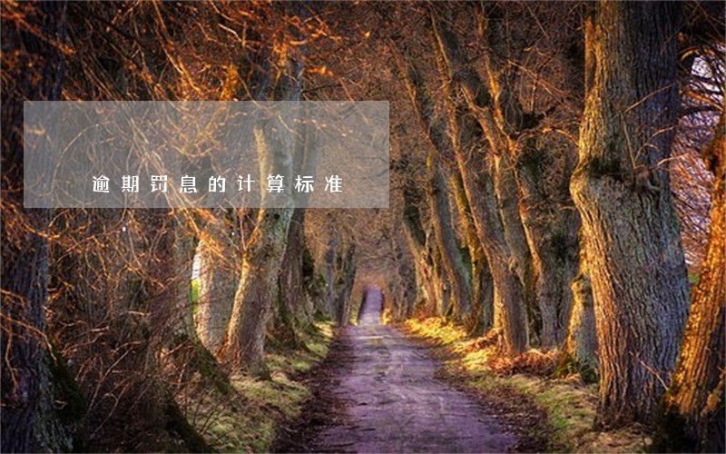 逾期罚息的计算标准 逾期罚息的计算标准